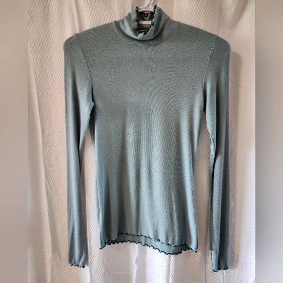 Aritzia Sweaters - Aritzia Wilfred Baby Blue Ribbed Turtleneck Sweater In Size Small